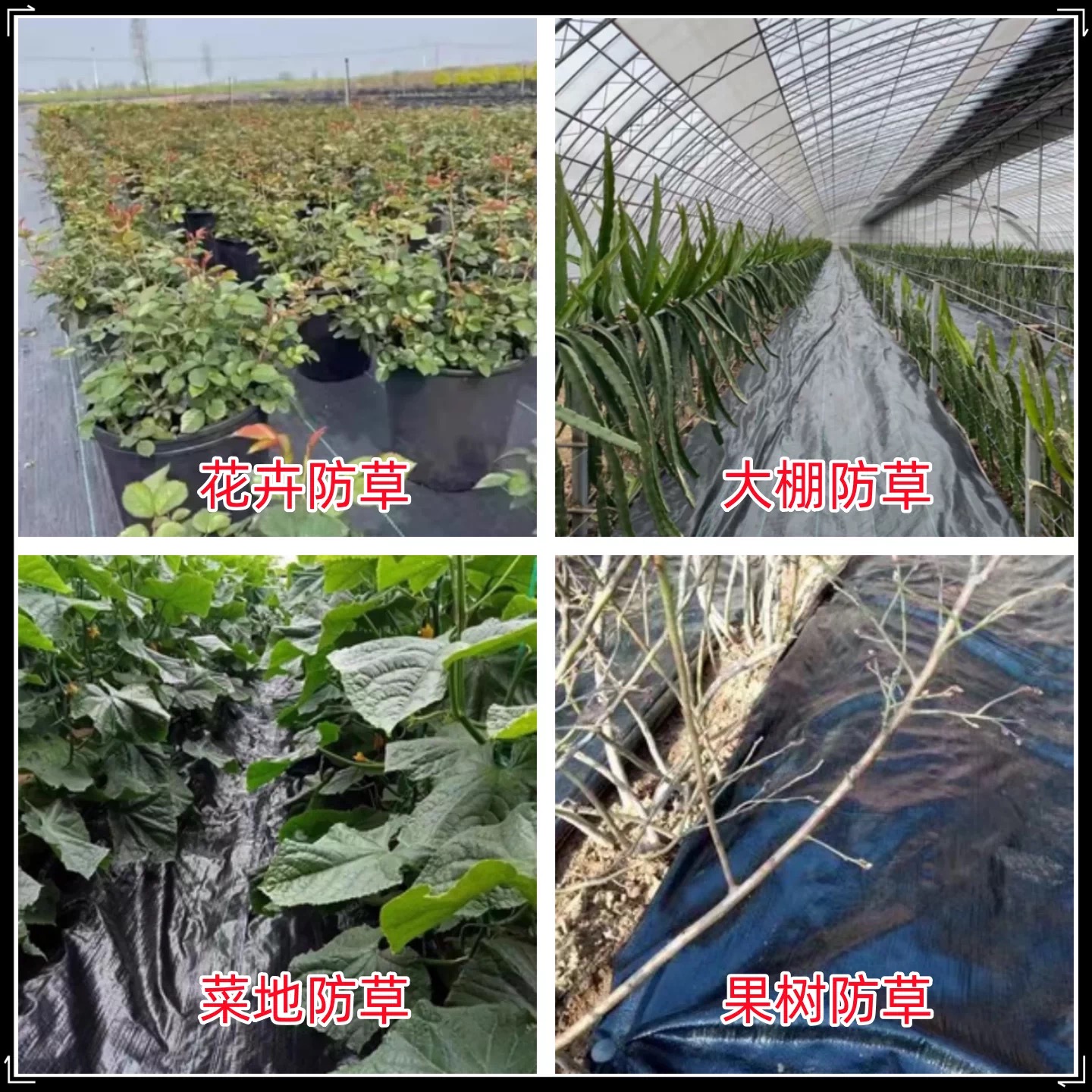 随州市地膜防草布 - 价格