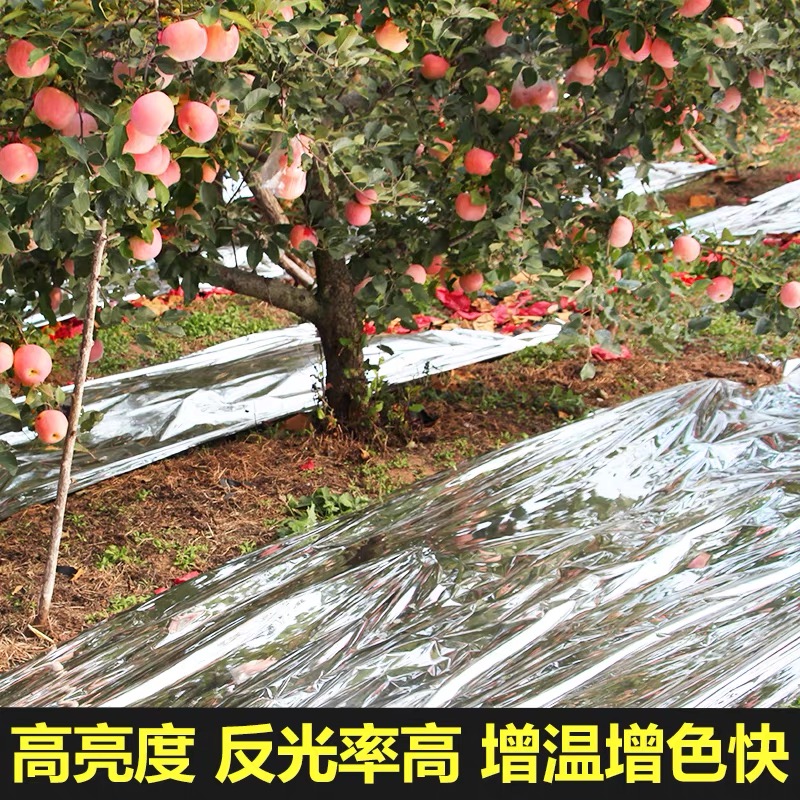 随州市货车苫盖膜果树反光膜 - 哪里好